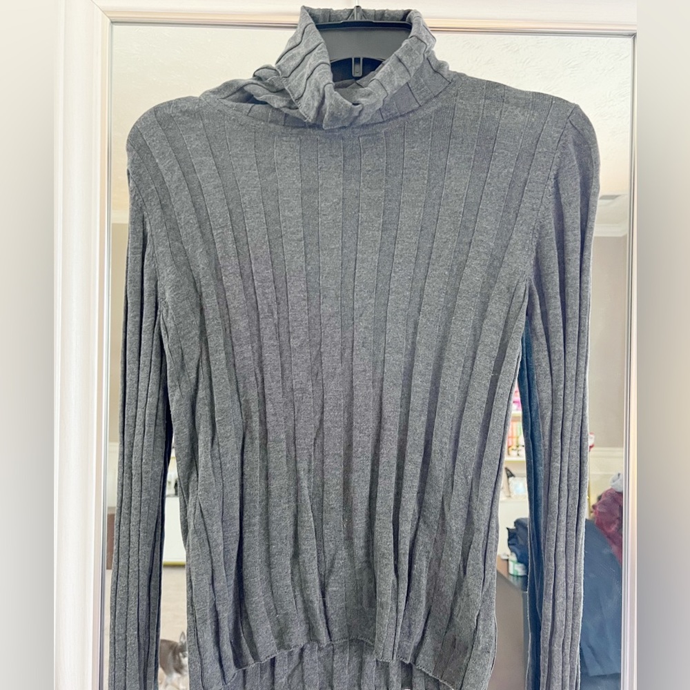 Zara Knit Long Sleeve Turtle Neck